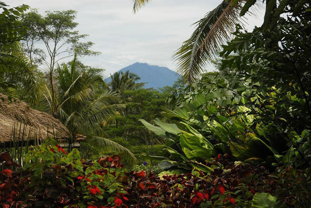Villa Bayad Payangan Extérieur photo
